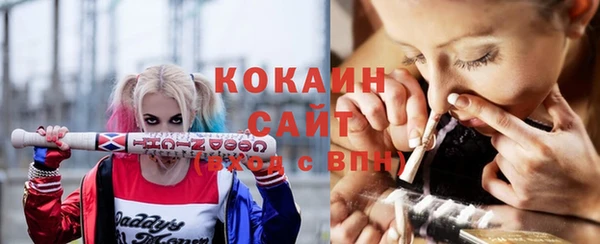 соль ск Бронницы