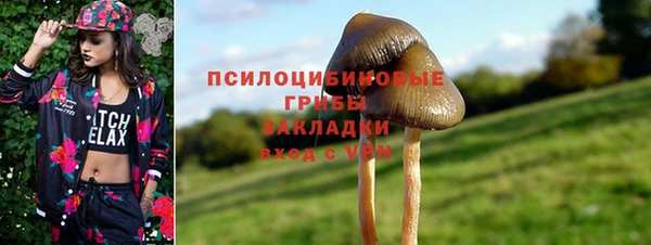 соль ск Рославль