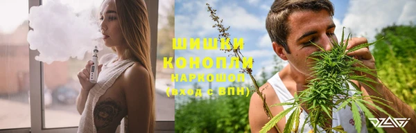 соль ск Бронницы