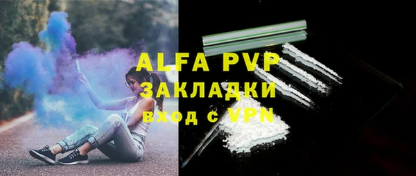 эйфоретик Бородино
