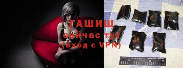 эйфоретик Бородино