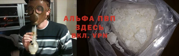 эйфоретик Бородино