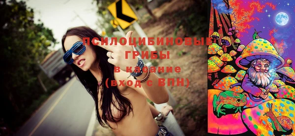 эйфоретик Бородино