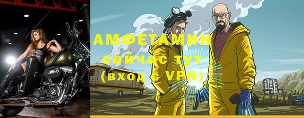 эйфоретик Бородино