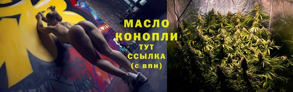 эйфоретик Бородино