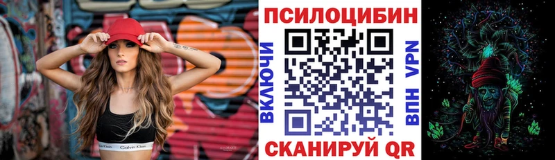 Псилоцибиновые грибы Magic Shrooms  Менделеевск 